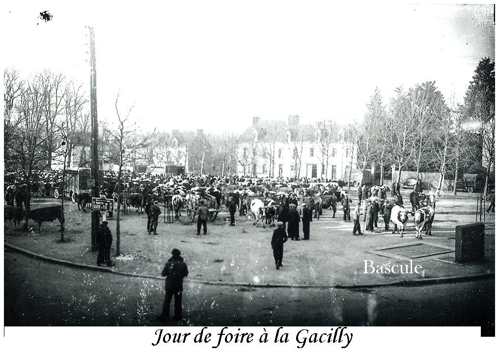 Jour de foire &agrave; la Gacilly