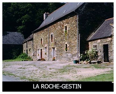 Le nom de cette seigneurie viendrait d&rsquo;une grosse roche qui se trouve derri&egrave;re le manoir sur le chemin de ce lieu &agrave; la maison du Ch&acirc;telier et du nom de la famille Gestin qui habita cette maison initialement. Ne serait-ce pas aussi &agrave; cause des grosses roches de la motte f&eacute;odale qui surplombe la Roche Gestin et dont l&rsquo;emplacement cadastral porte le nom de Butte du Rocher
