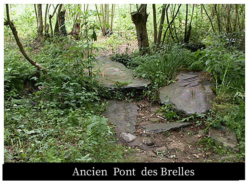 ANCIEN PONT DES BRELLES ancien pont des Brelles sur le ruisseau de Mabio ou Brelles, ce ruisseau naît au pied des Landes de Couesmé, entre la Loirie et Saint-André à 50m d’altitude. Tout près de sa source, il reçoit un petit affluent, le Bourdounouze qui vient du Gué de Couesmé, de la fontaine Bourdounouze (ou Bourdonneuse), longe les Landes de Couesmé dans le creux de la Vallée Bourdonneuse. Est-ce à cause du bruissement de l’eau ou de celui des insectes de la forêt, comme l’écrit l’abbé Chérel, qu’il a reçu cette appellation ? Le ruisseau de Mabio longe ensuite toute la Forêt Noire où il forme la limite territoriale avec la commune des Fougerêts puis de Glénac jusqu’à l’étang de la Roquennerie