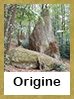 Origine-