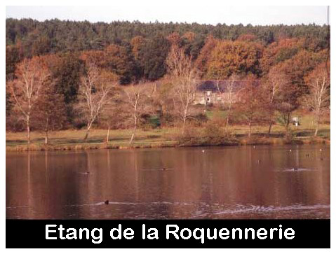 ETANG DE LA ROQUENNERIE Beautermier, dans les bois de Graslia. Il semble qu’il y ait eu deux étangs de ce nom : un aveu du 13 septembre 1639 de Gilles de Talhouët parle des « landes de Grasléas (Graslia) et lacs de Beautermier où était le Grand-Boys de ladite seigneurie de La Gacilly ». Ces étangs seraient-ils ceux de la Roquennerie et de la Mare des Brelles à côté de la Navetterie