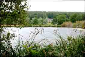 l'etang de la Roquennerie sera reconstitu&eacute; dans la seconde moiti&eacute; de ce m&ecirc;me si&egrave;cle.