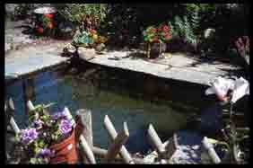 la source d&eacute;bouche directement dans le lavoir ; l&rsquo;eau s&rsquo;en &eacute;chappe ensuite en formant un ru qui traverse tout le village. 