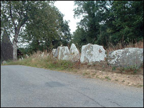 Palissade dans un pr&eacute;  avec palis en schiste d&rsquo;Angers 