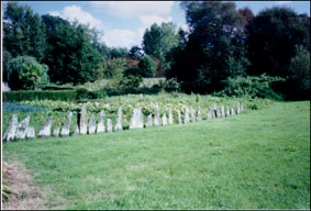 les palis sont peu &eacute;pais et bien taill&eacute;s dans le sens des couches lamellaires