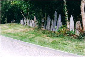 schiste d&rsquo;Angers est employ&eacute; pour &eacute;lever des murs ( moellons, pierres), pour couvrir des toits ( ardoises) ; autrefois, il servait m&ecirc;me &agrave; s&eacute;parer les diff&eacute;rentes parties de la maison ( palis) ou &agrave; couvrir le sol (dallages). On le trouvait &eacute;galement comme traverse haute de porte, de fen&ecirc;tre, de chemin&eacute;e (linteau).
