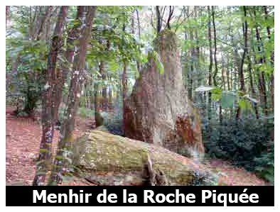 MENHIR DE LA ROCHE PIQUÉE = L’extrémité de l’anticlinal Forêt Neuve/Graslia forme un promontoire dont l’importance n’avait pas échappé aux premiers habitants de La Gacilly. Il n’est donc pas étonnant de trouver, le long du seul chemin qui sortait vers l’Ouest, deux menhirs : l’un est encore dressé, l’autre étant renversé ? Les constructeurs n’ont pas été bien loin pour trouver le matériau nécessaire à la construction de ce monument qui est en fait du grès poudingue que l’on retrouve sur les hauteurs de la Grée Saint-Jean, de Graslia et du Châtelier.