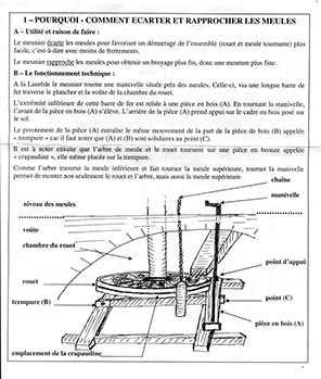 Le mouvement rotatif horizontal du rouet est transmis par l'arbre de meule :L'arbre de meule est &eacute;galement r&eacute;alis&eacute; en bois de ch&acirc;taigniers. Il traverse la vo&ucirc;te de la &laquo; chambre du rouet &raquo;, ainsi que la meule inf&eacute;rieure. Celle-ci est immobile et parfois appel&eacute;e &laquo; meule dormante &raquo;. Le mouvement arrive ensuite, via deux pi&egrave;ces en fer emmanch&eacute;es : le fer de meule est vertical et prolonge l'arbre, et l'anile horizontale est ajust&eacute;e dans la meule sup&eacute;rieure