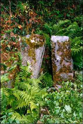 Les restes de ces vannes existent toujours.Les autres ont &eacute;t&eacute; enfouies lors du remblaiement des prairies en contre-bas de l&rsquo;ancien moulin de la Bou&egrave;re